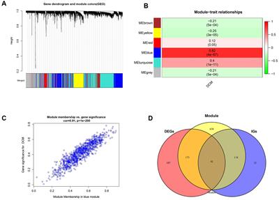 Development and validation of risk prediction and neural network models for dilated cardiomyopathy based on WGCNA